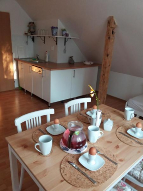 Apartmány F-M Frydek-Mistek